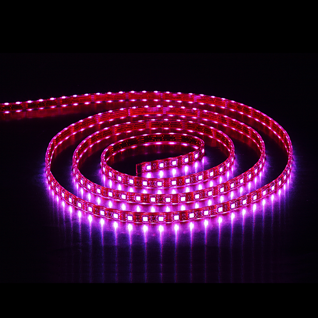 SMD5050 60LEDs 14.4W Esterno Striscia Led RGB